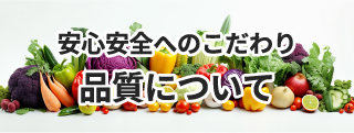 お得な特別価格セール