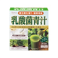 健康補助食品　乳酸菌青汁