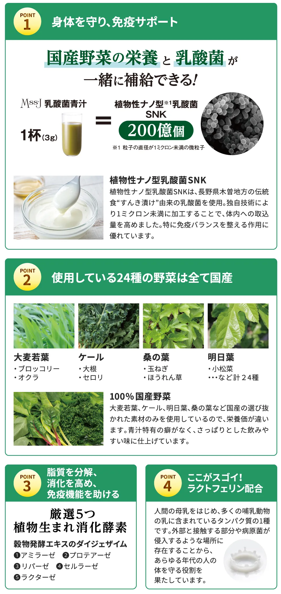 健康補助食品 乳酸菌青汁