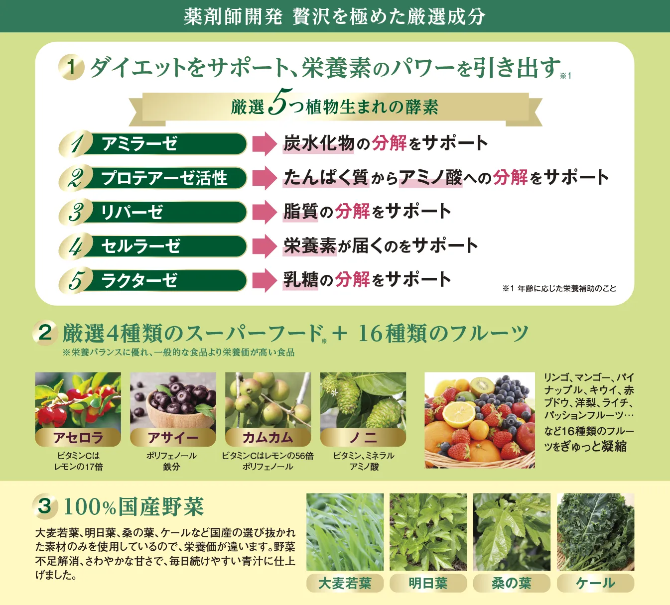 健康補助食品 フルーツ酵素青汁