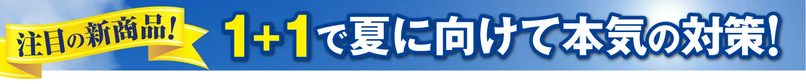 注目の新商品！1+1